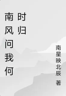 南風問我何時歸 封面
