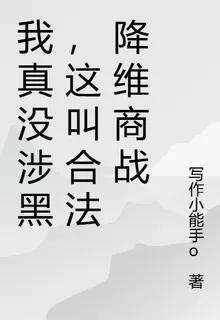 我真沒涉黑，這叫合法降維商戰 封面