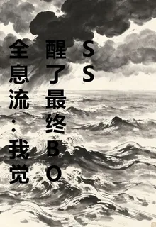 全息流：我覺醒了最終BOSS 封面