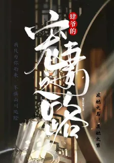 肆爺的寵妻之路 封面