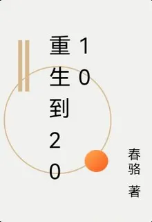 重生到2010 封面