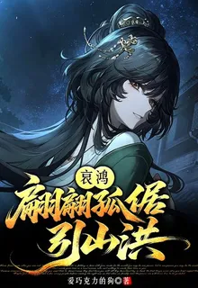 哀鴻：翩翩孤倨引山洪 封面