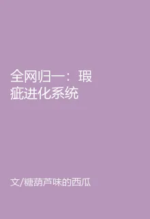 全網歸一：瑕疵進化系統 封面