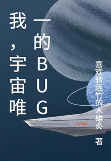 我，宇宙唯一的bug 封面
