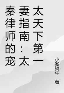 秦律師的寵妻指南：太太天下第一 封面