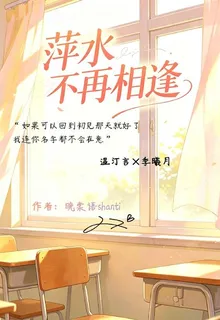 萍水不再相逢 封面