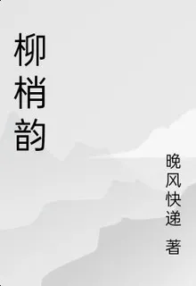 柳梢韻 封面