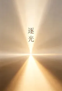 慢慢追光 封面