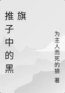 推子中的黑旗 封面
