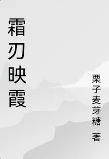 霜刃映霞 封面