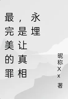 最完美的罪，是讓真相永埋 封面