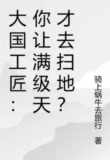 大國工匠：你讓滿級天才去掃地？ 封面