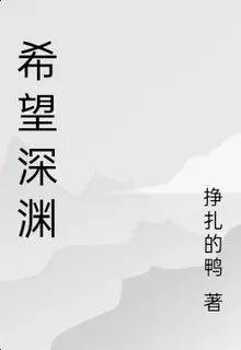 希望深淵 封面