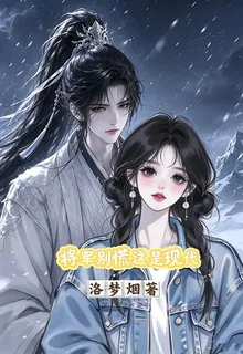 將軍別慌這是現代 封面