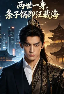 兩世一身，條子鍋即汪藏海 封面