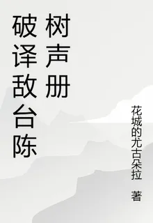 破譯敵臺陳樹聲冊 封面