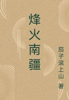 烽火南疆 封面