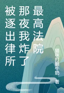被逐出律所那夜我炸了最高法院 封面
