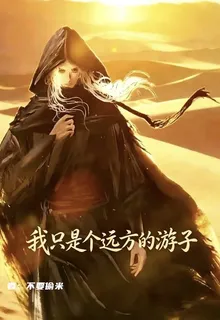 我只是個遠方的遊子 封面