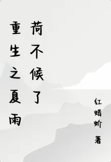 重生之夏雨荷不候了 封面