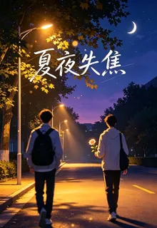 夏夜失焦 封面