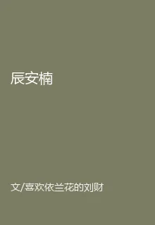 辰安楠 封面
