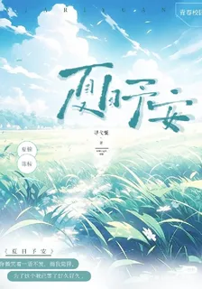 夏日予安 封面