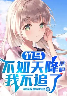 竹馬不如天降是吧，我不追了 封面