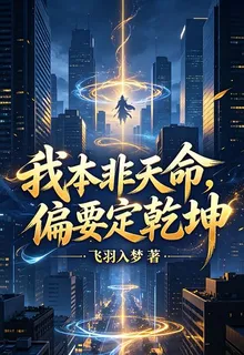 我本非天命，偏要定乾坤 封面