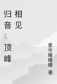 歸音：頂峯相見 封面