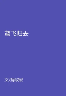 鳶飛歸去 封面