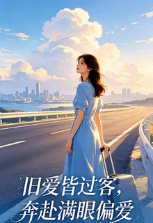 舊愛皆過客，奔赴滿眼偏愛 封面