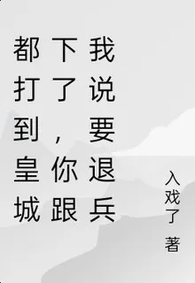 都打到皇城下了，你跟我說要退兵 封面