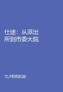 仕途：從派出所到市委大院 封面