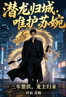 潛龍歸城，唯護蘇婉 封面