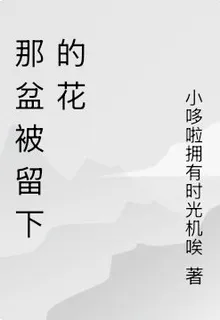 那盆被留下的花 封面