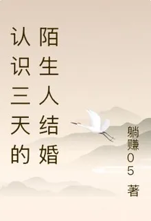 認識三天的陌生人結婚 封面