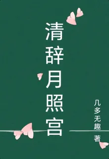 清辭月照宮 封面