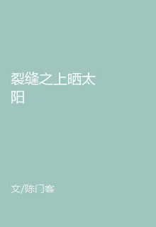 裂縫之上曬太陽 封面