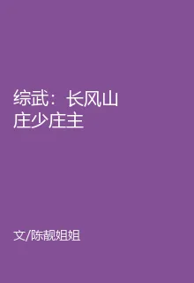 綜武：長風山莊少莊主 封面