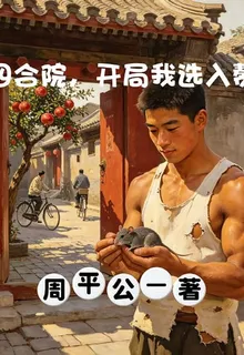 四合院，開局我選入贅 封面