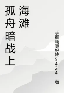 孤舟暗戰上海灘 封面