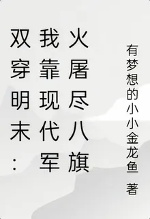 雙穿明末：我靠現代軍火屠盡八旗 封面