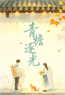 青檐逐光 封面