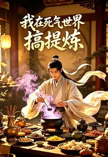 我在死氣世界搞提煉 封面