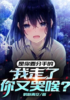 是你要分手的，我走了你又哭啥？ 封面