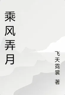 乘風弄月 封面