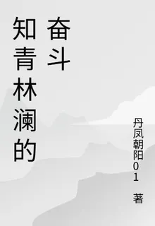 知青林瀾的奮鬥 封面