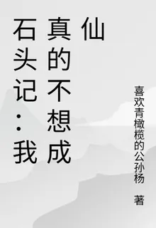 石頭記：我真的不想成仙 封面