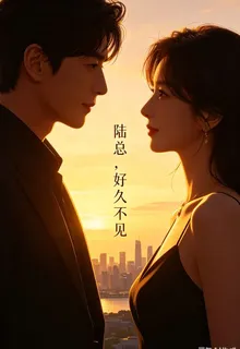 陸總，好久不見 封面